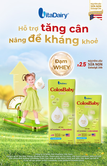 SUDD ColosBaby Gold